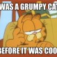 The original Grumpy Cat