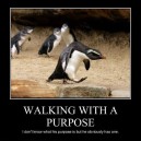 Walking with a purpose