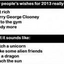 Wishes for 2013