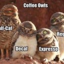 Coffee Owls