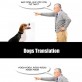 Dog translation