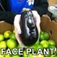 Face Plant