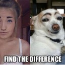 Find The Difference
