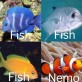 Fish vs. Nemo