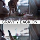 Gravity Off