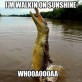 Happy alligator