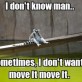 I like to move it move it!
