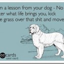 Learn a Lesson from your Dog