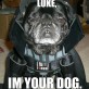 Luke, I am your dog