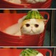 Melonhead taking a bath