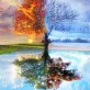 One Tree, Four Seasons