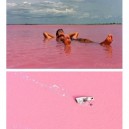 Pink Lake La Rose