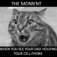 That moment