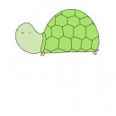 What is on your mind little turtle