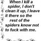 When I kill a spider