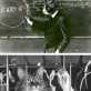 Cats as scientists