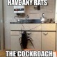 Cockroach MEME