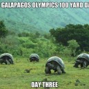 Galapagos Olympics