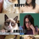 Grumpy Cat Impressions