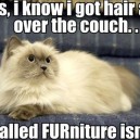 Hairy Furniture