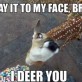 I Deer You