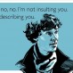 I’m not insulting you