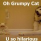 Oh grumpy cat