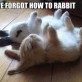 Forgott how to Rabbit