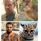 Game of Thrones vs. Game of Cats