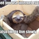 Slow Slow Sloth