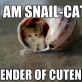 Snail Cat