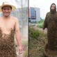 Crazy Man Covered In Bees