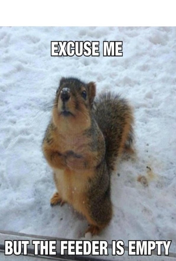 Excuse Me | Funlexia – Funny Pictures