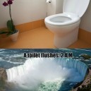 Toilet flush