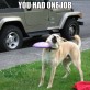 You Had One Job, Dog