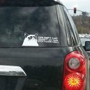 Grumpy Cat Car Sticker