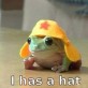 I has a hat