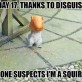 Infiltrated squirrel
