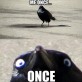 Insanity Crow