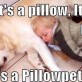 Pillowpet