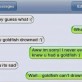 Poor Goldfish