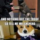 The Lawyer Dog