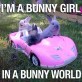 C’mon bunny let’s go party!