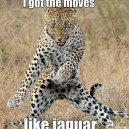 He’s got the moves like jagger