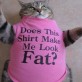 Does this shirt make me look fat