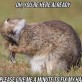 Hare Problems