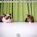 Lil Bub And Grumpy Cat