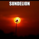 Sundelion