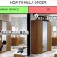How to Kill A Spider
