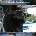 I Should Become A Spy